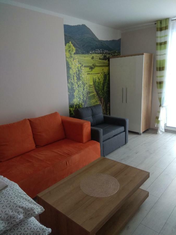 Apartament Winnica Centrum Zielona Gora  Exterior photo